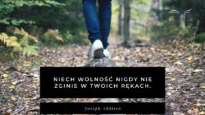 To wolność w decydowaniu o tym co mnie dotyczy, w poczuciu prawa do ustalania tych spraw, które mają na mnie wpływ. Być wolnym to także mieć wpływ - mieć poczucie, ze ode mnie coś zależy, ze mam znaczenie. Być wolnym w pracy to zarabiać tyle ile chcę. Mieć prawo zarabiać tyle, aby być zadowolonym i czuć ze moje praca jest godnie wynagradzana.